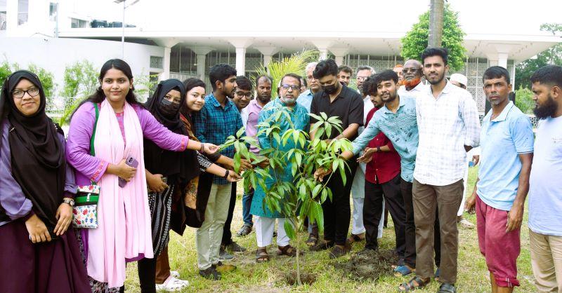 কেইউ ইনসাইডার্স এর উদ্যোগে বৃক্ষরোপণ